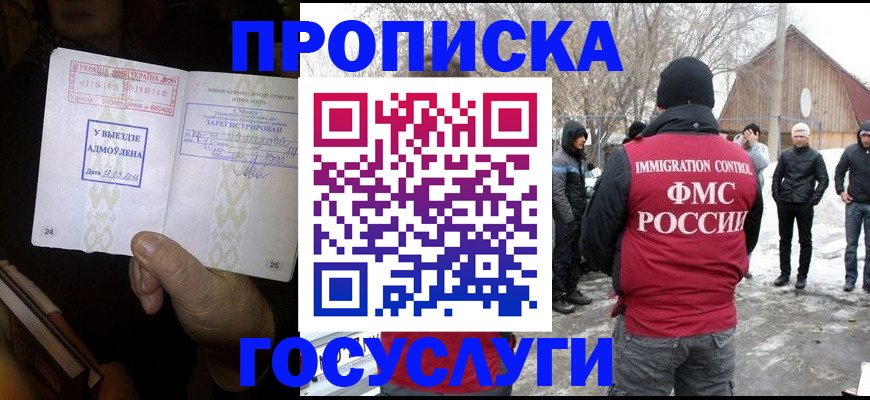 прописка поиск в Заинске